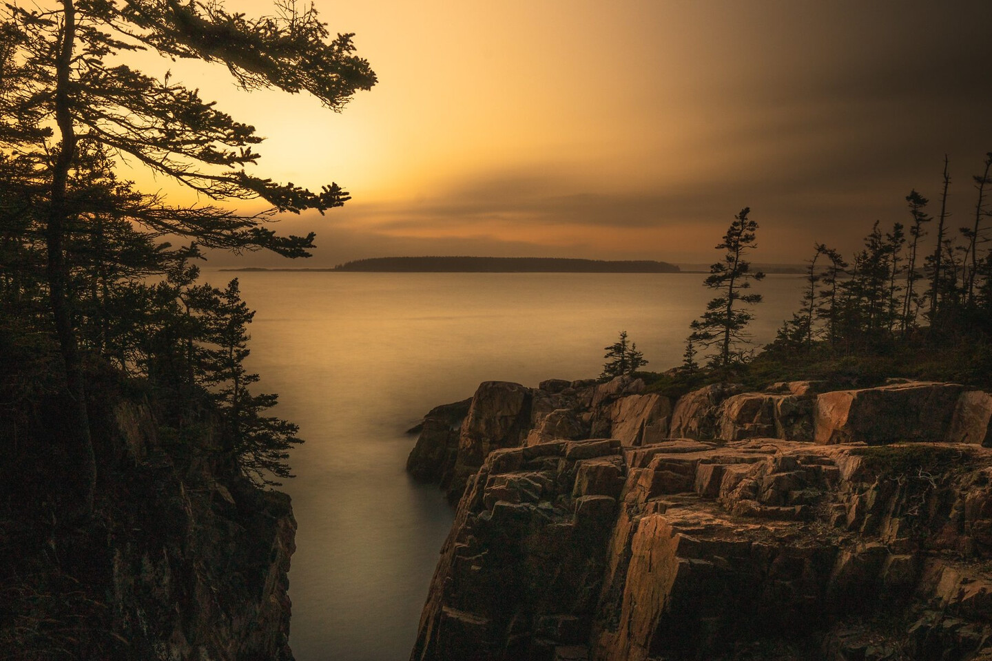 Acadia coastal sunset — granite headland in golden hour, pine forest behind, the Atlantic catching the last warm light.